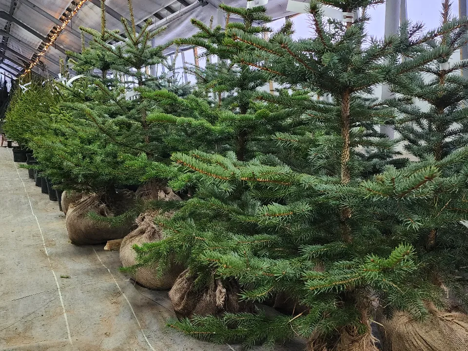 Фото: МедиаБанк Подмосковья/Ольга Егиян