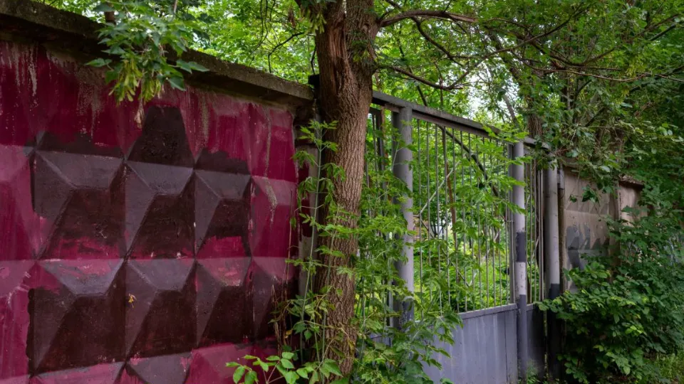 Фото: пресс-служба администрации г.о. Фрязино