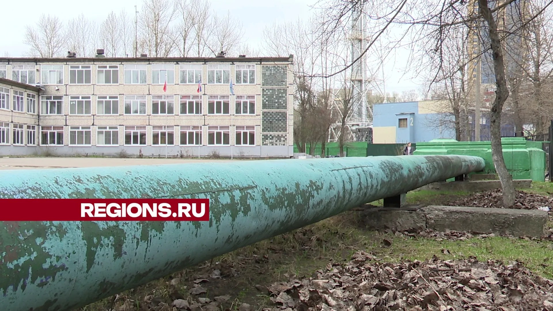 Фото: Ксения Казакова