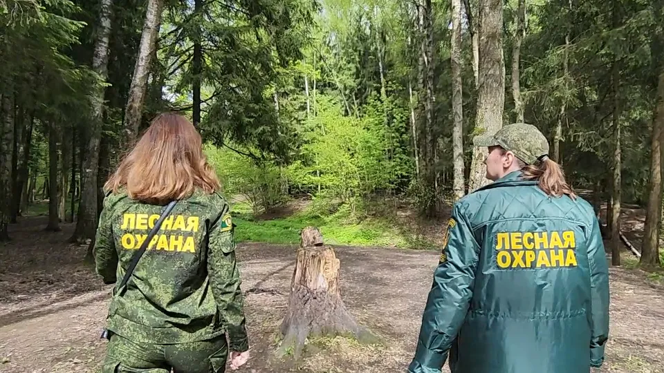 Фото: МедиаБанк Подмосковья/Никита Сморкалов