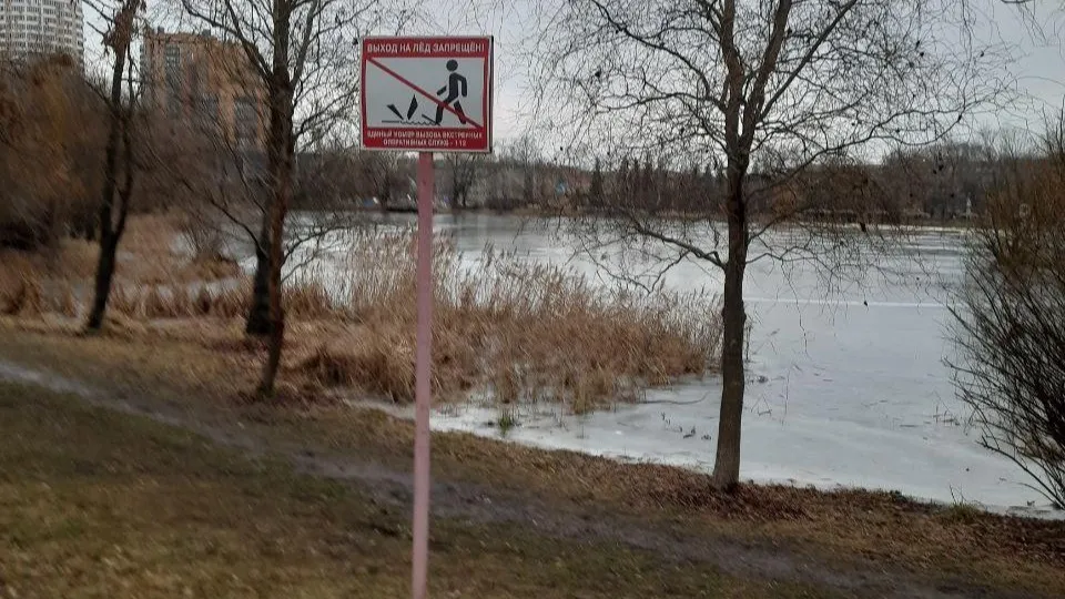 Фото: администрация г.о. Реутов