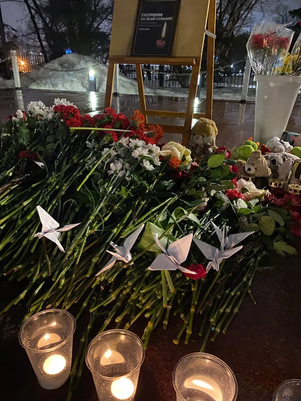 Фото: телеграм-канал zhigalkin_s