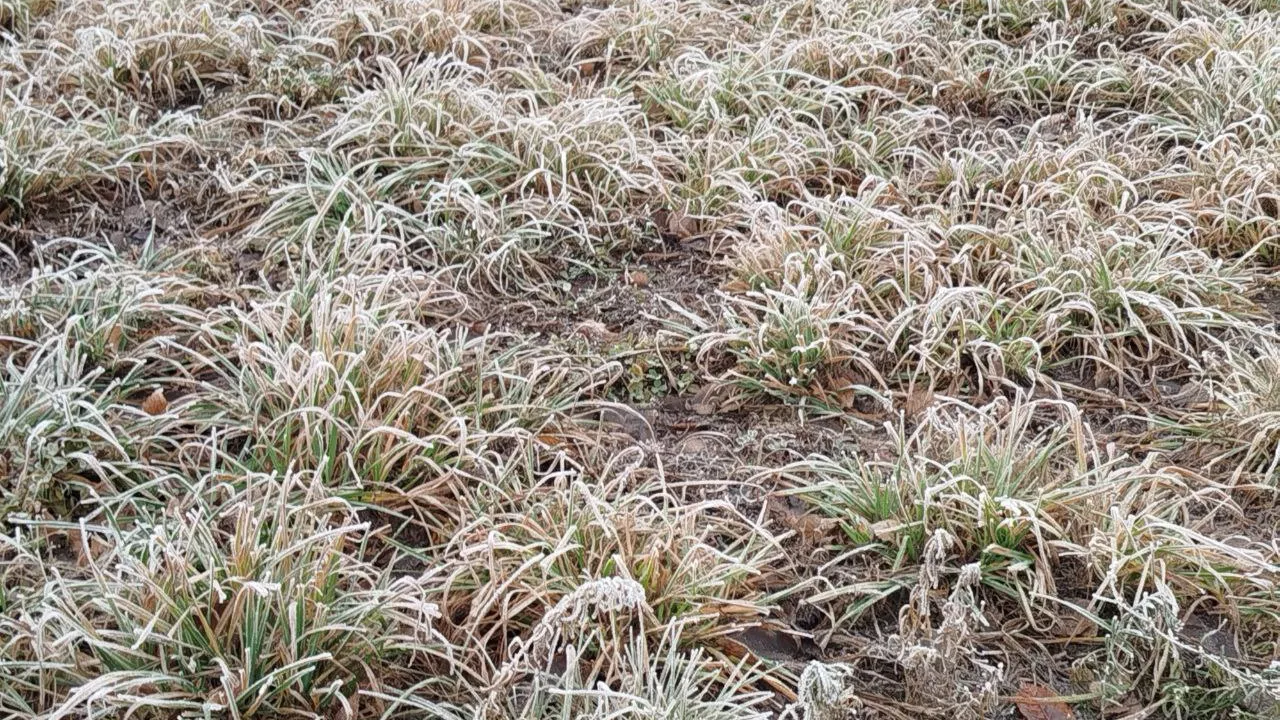 Фото: REGIONS/Елена Фурман