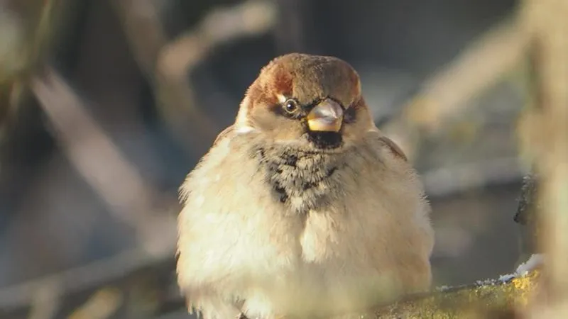 Минэкологии МО