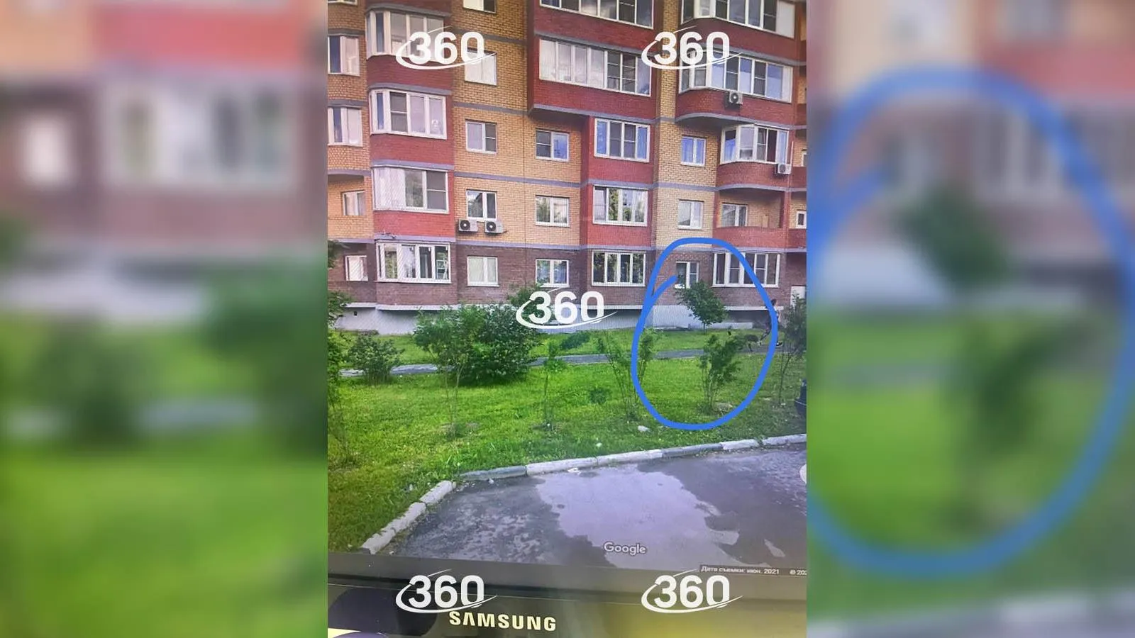 Дом, у которого нашли раненую собаку