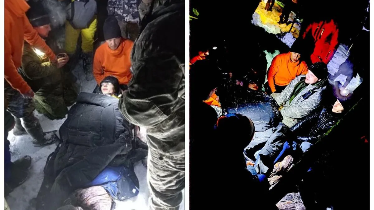 Фото: Лиза Алерт