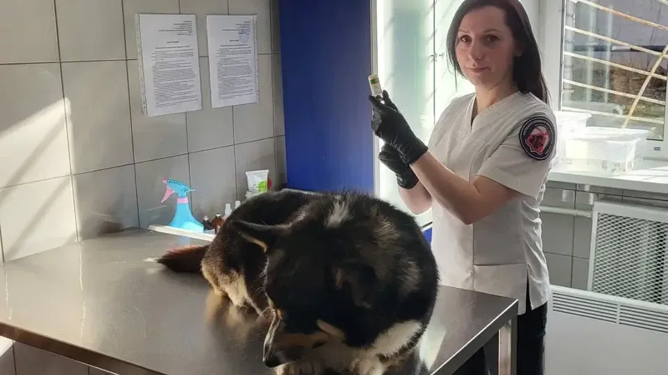 Фото: пресс-служба Министерства сельского хозяйства и продовольствия Московской области