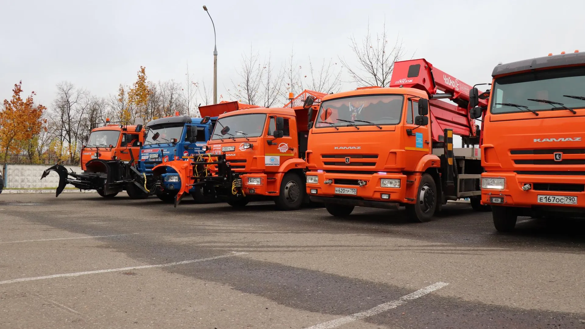 Фото: Василий Тремасов