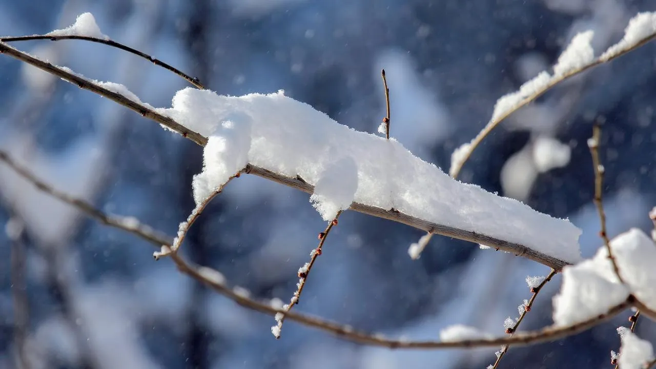 istockphoto.com/photosaint