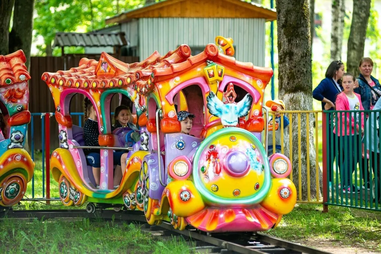 Фото: vk.com/Парки Дмитровского городского округа.
