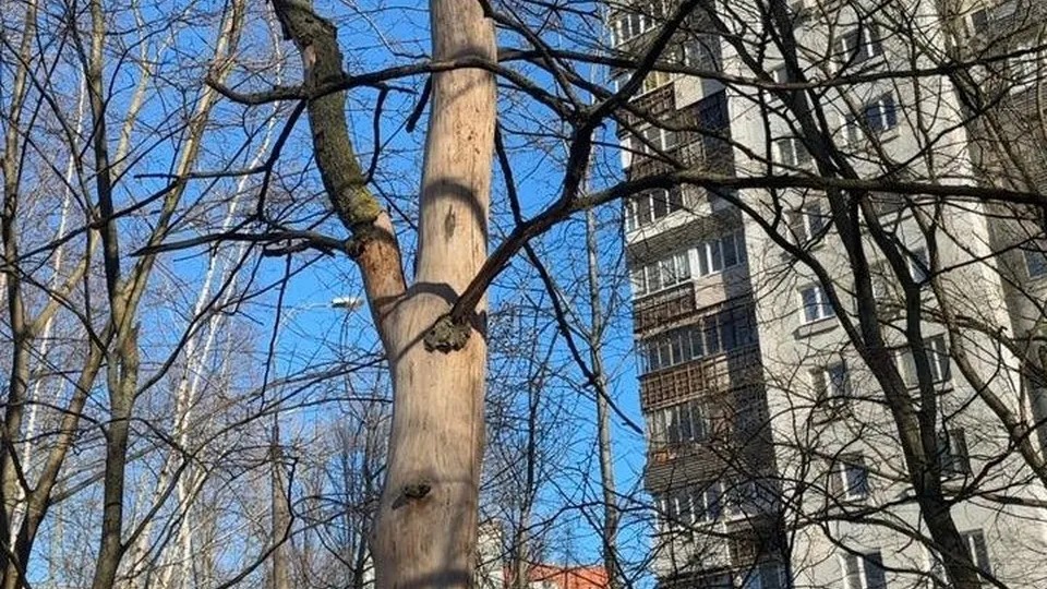 Фото: отдел благоустройства администрации Одинцовского городского округа