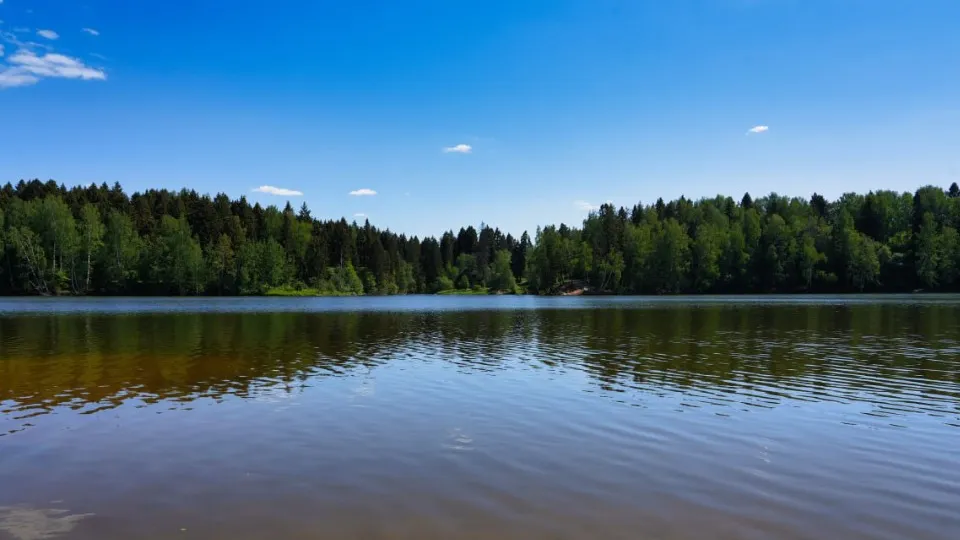Фото: МедиаБанк Подмосковья/Дарья Леонова