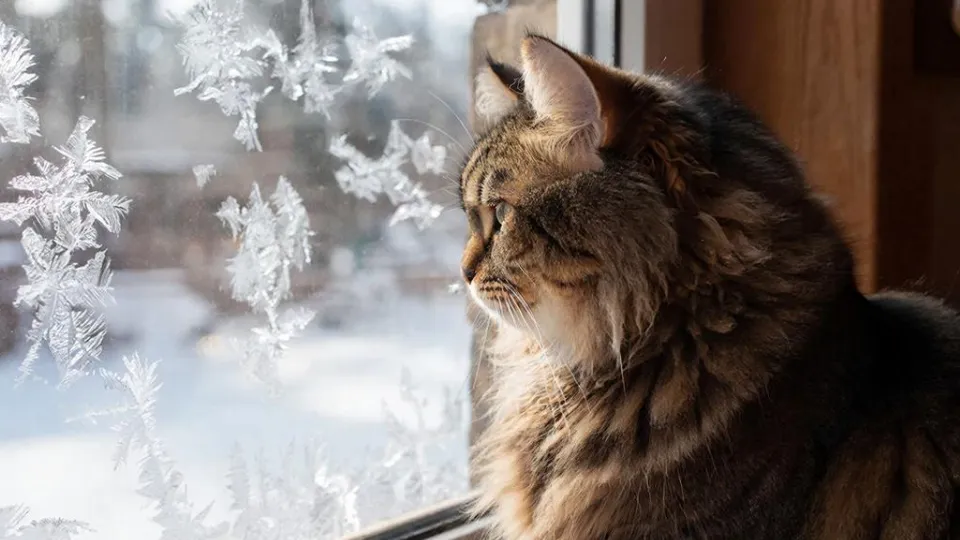 Фото: REGIONS/Сгенерировано нейросетью