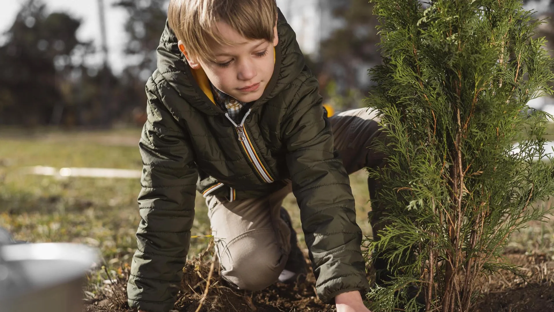 медиасток.рф