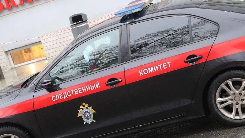 СК проводит проверку после обнаружения тела новорожденного ребенка в Электростали