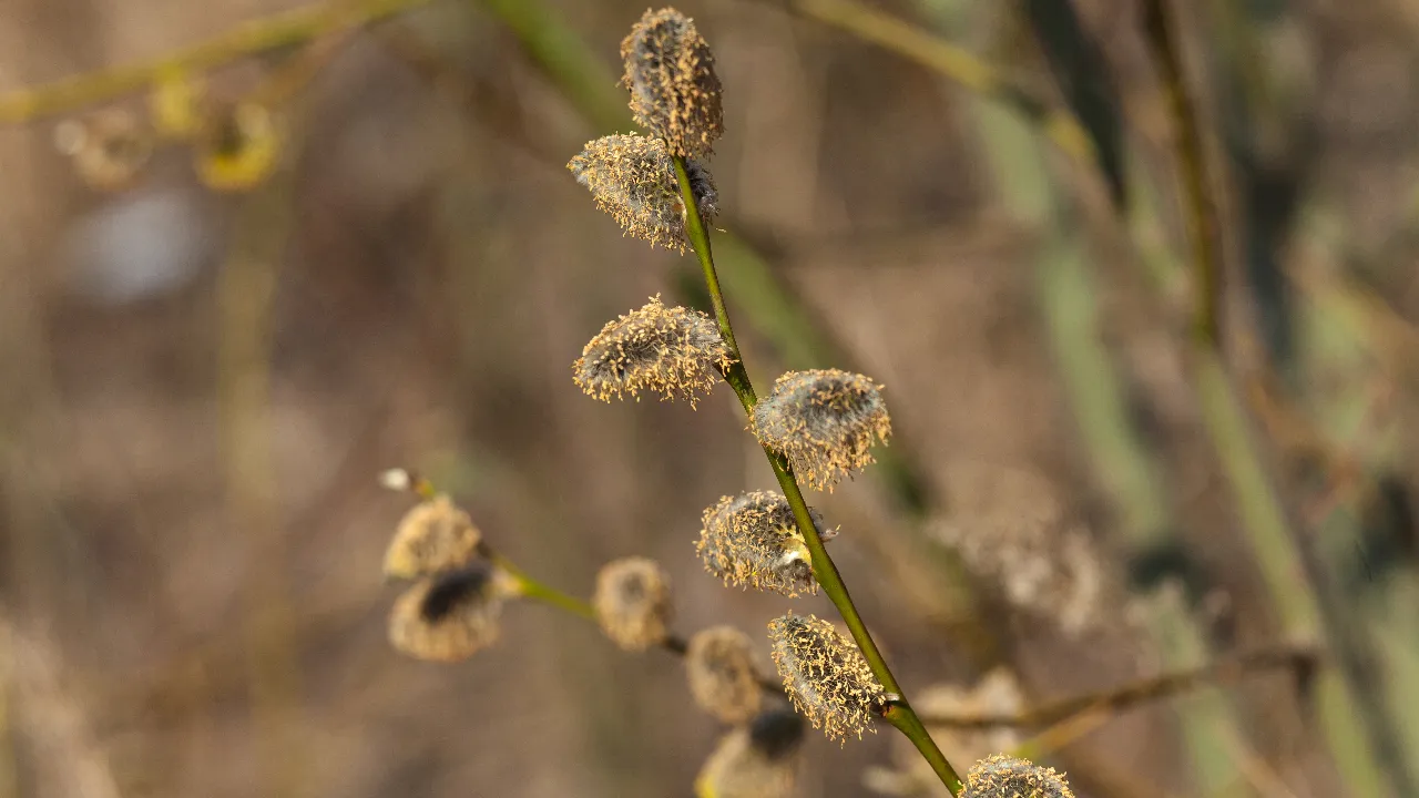медиасток.рф