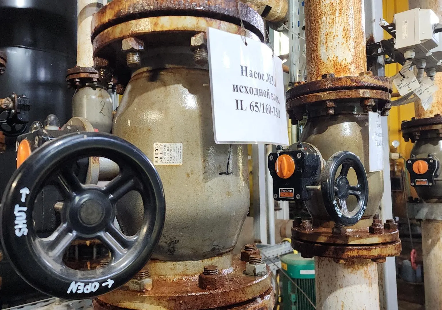 Фото: Нина Басистая