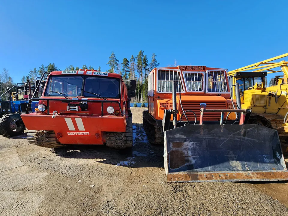 Фото: Вера Коренева