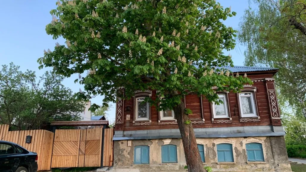 Фото: Екатерина Елисеева