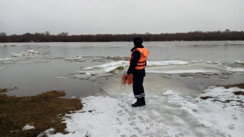 ГКУ МО «Мособлпожспас»