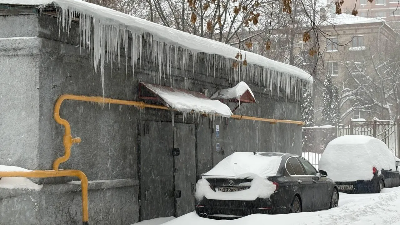 REGIONS/Крачун Полина