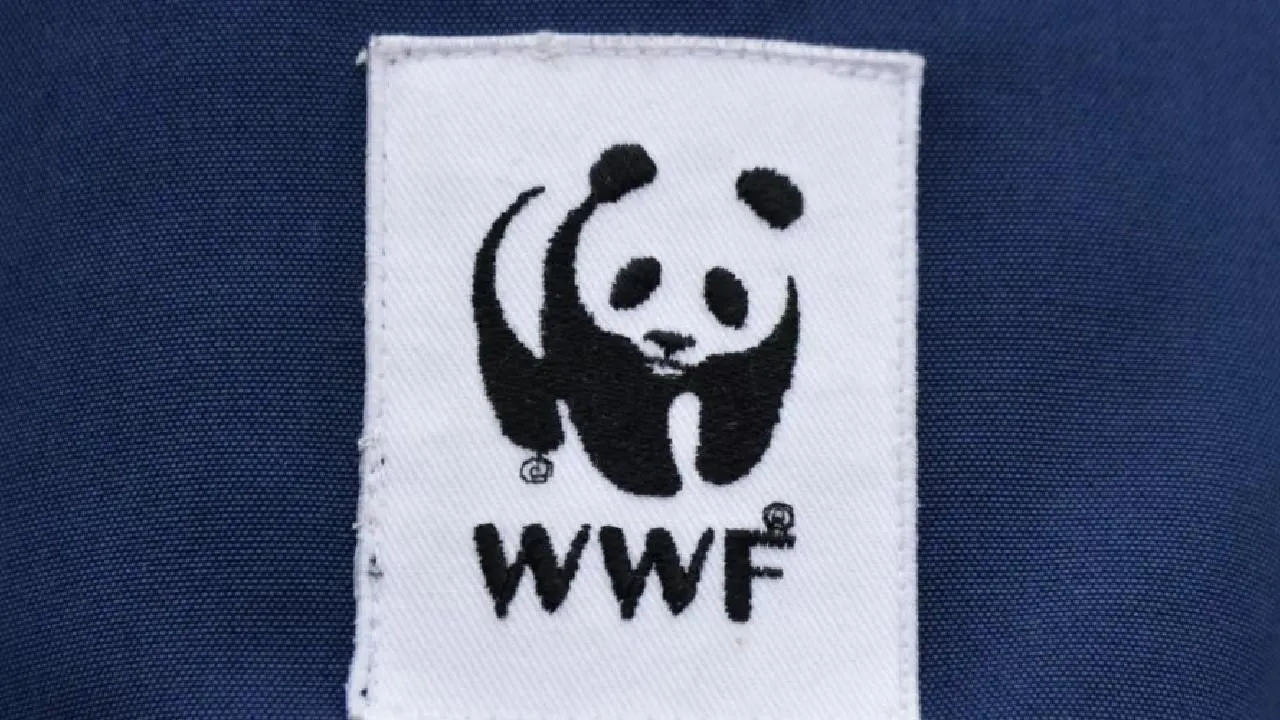 Генпрокуратура РФ признала нежелательным Всемирный фонд природы WWF*