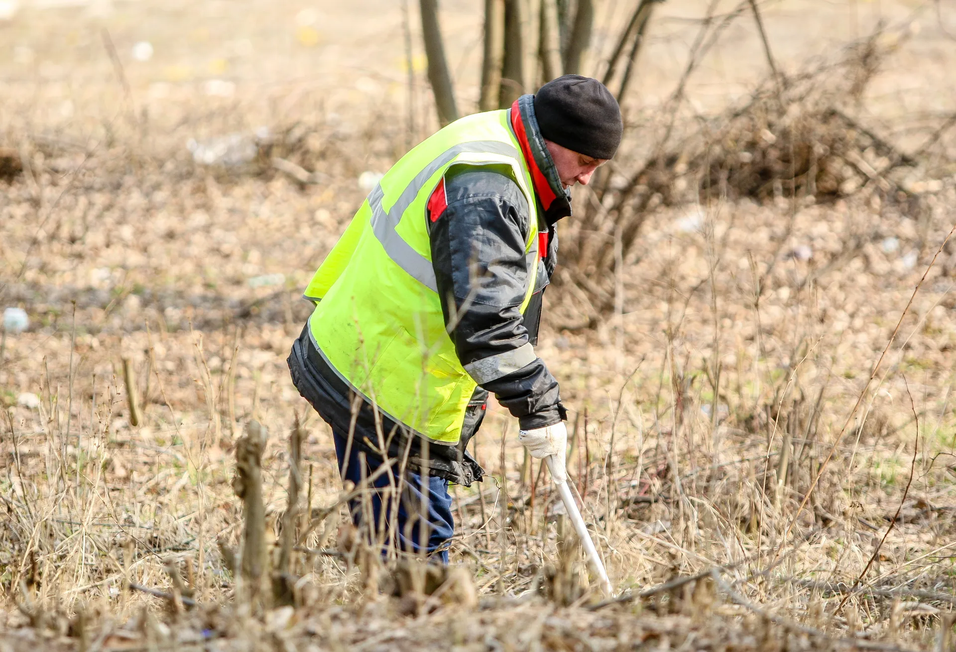 Владимир Лебедев