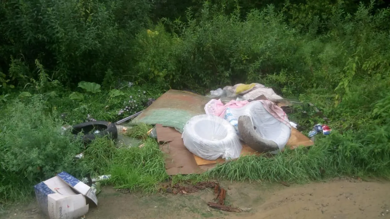 Фото: Комитет лесного хозяйства Московской области