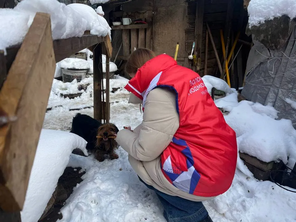 Фото: пресс-служба Министерства сельского хозяйства и продовольствия Московской области