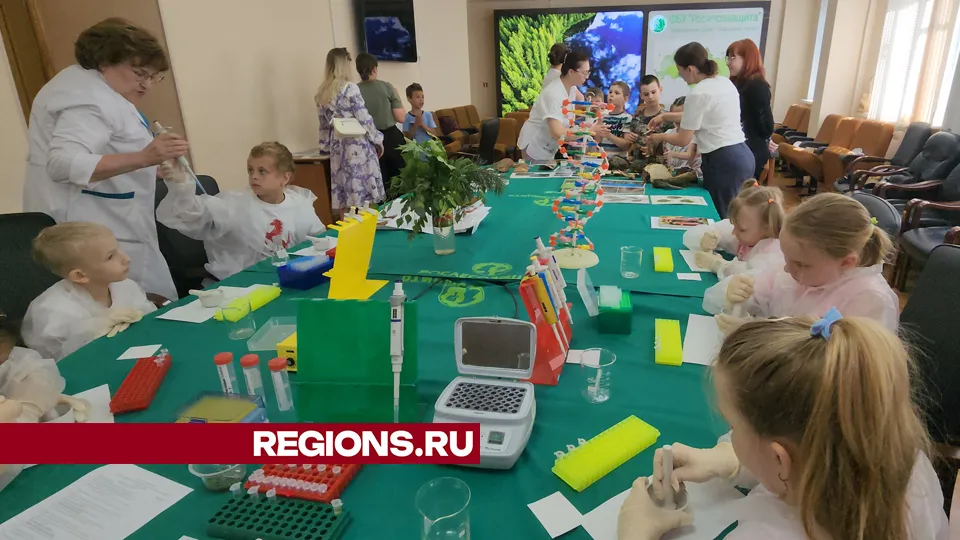 Фото: Ольга Шеметова