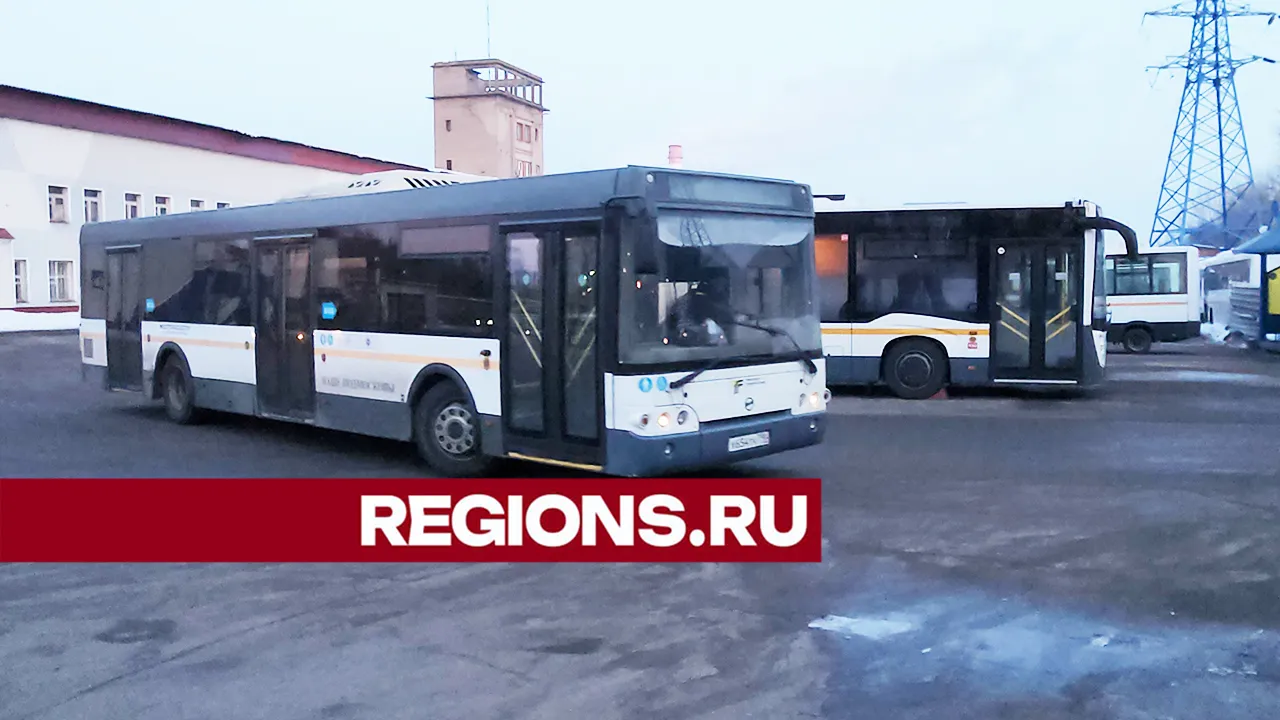 Фото: Дмитрий Павлов