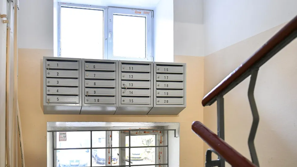 Фото: пресс-служба администрации г.о. Химки