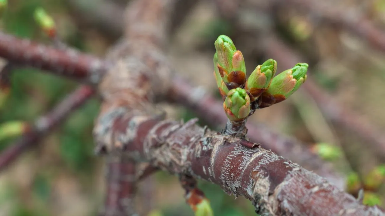 медиасток.рф