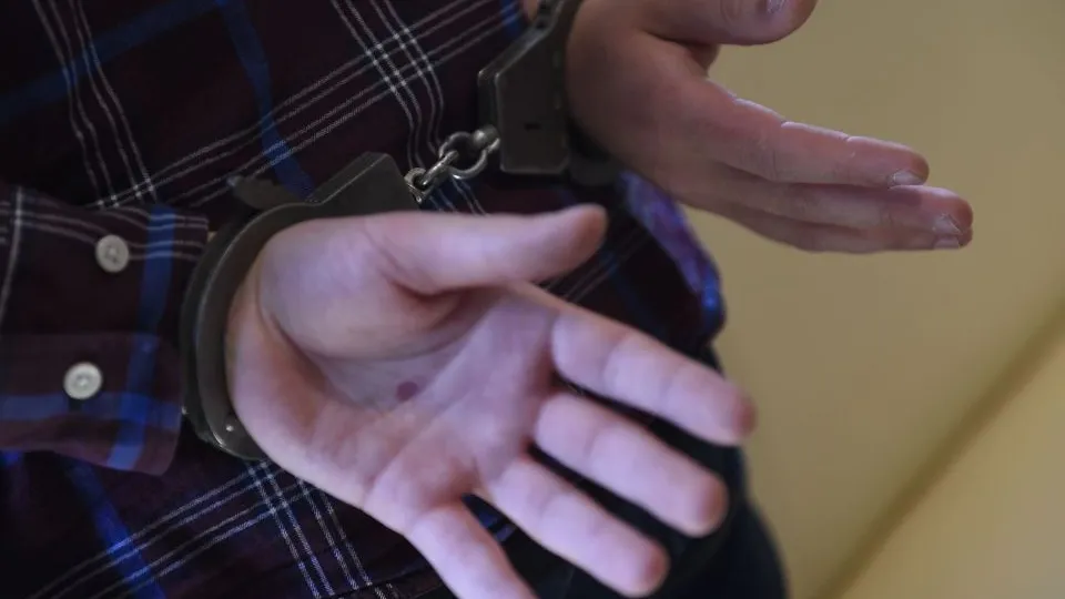 Фото: Медиаархив Подмосковья