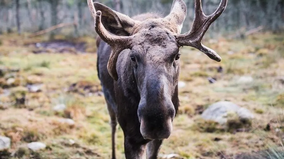 Фото: медиасток.рф