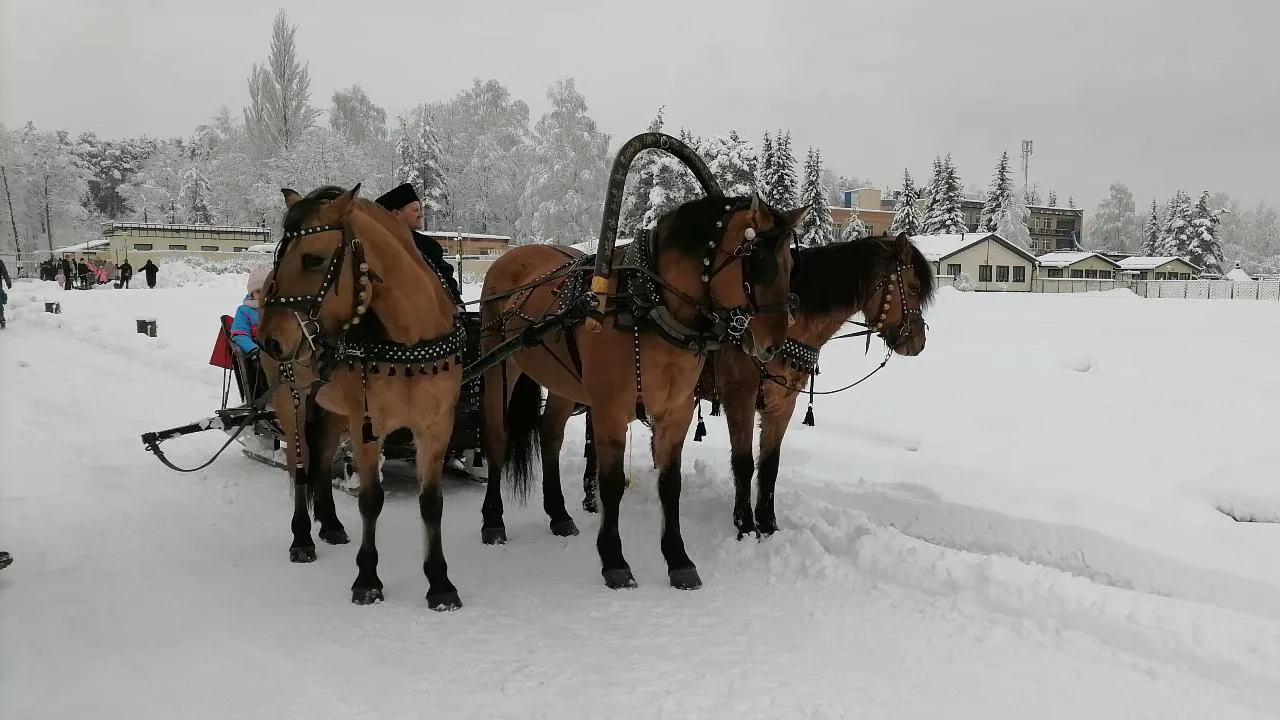 МедиаБанк Подмосковья/Ольга Сычёва