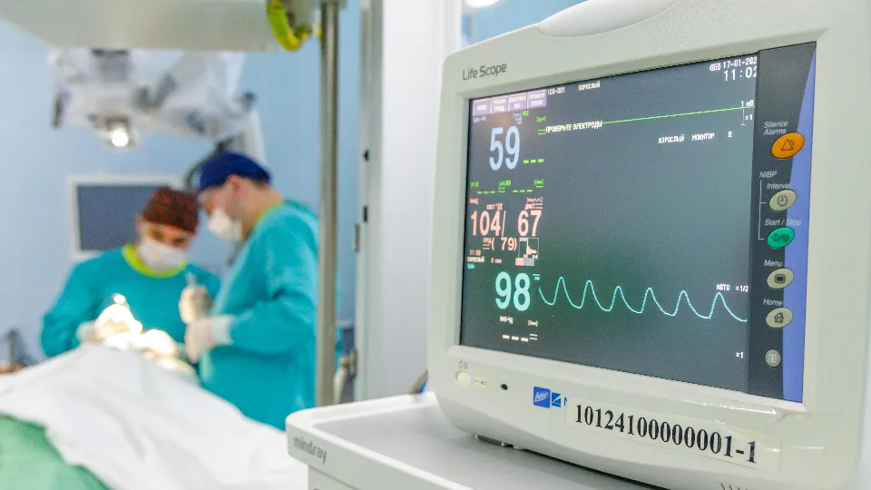 Фото: МедиаБанк Подмосковья/Наталья Лымарь