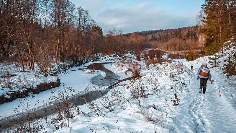 Парамоновский овраг