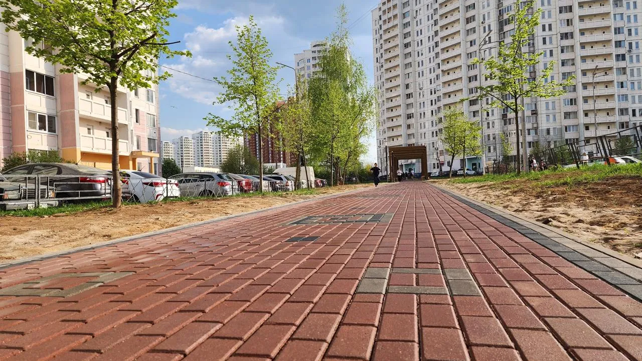 Фото: Медиабанк Подмосковья/Мария Андрюхина