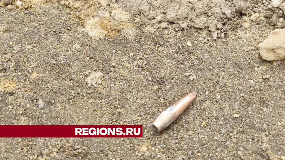 Фото: Виталий Хахин