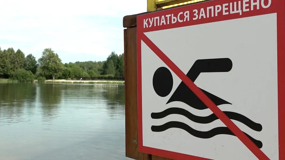 Фото: МедиаБанк Подмосковья/Наталия Надточая