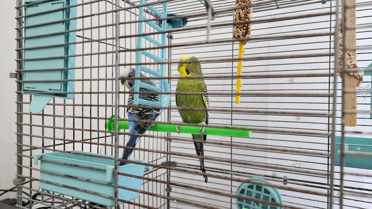 Медиабанк Подмосковья/Иван Дубров