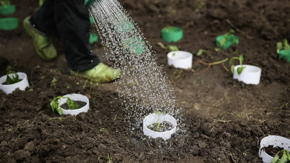 Фото: РИА Новости/Виталий Тимкив