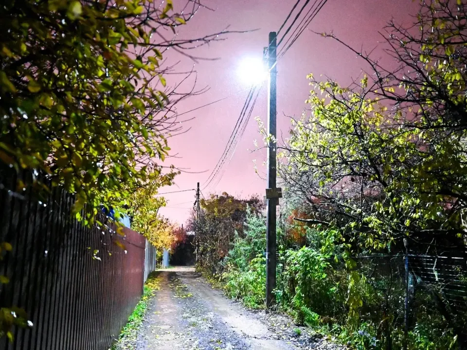 Фото: администрация Ленинского г.о.