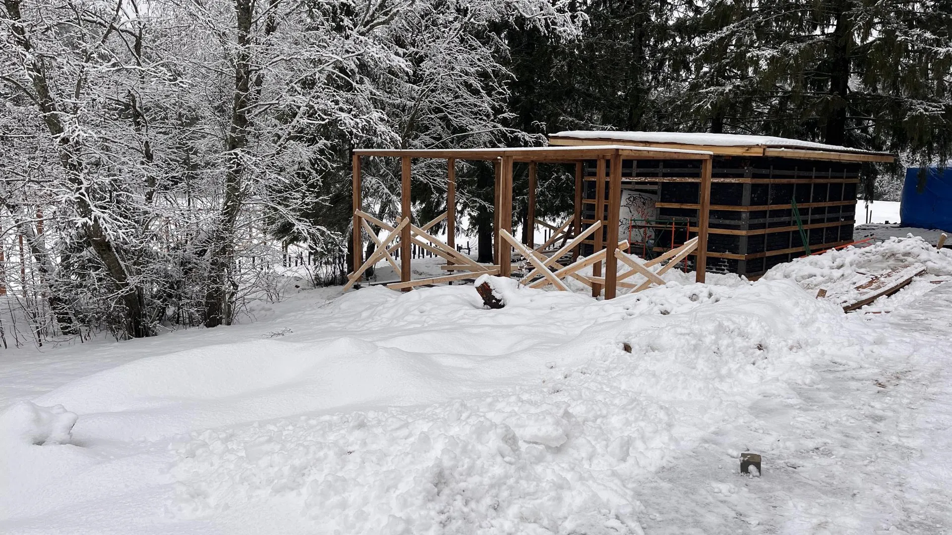 Татьяна Рунова