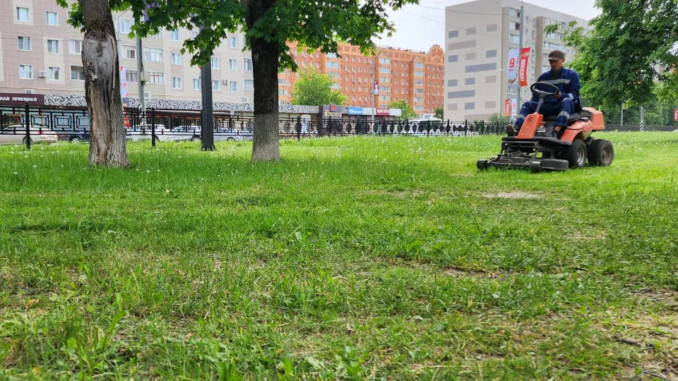 Фото: Анастасия Сараева