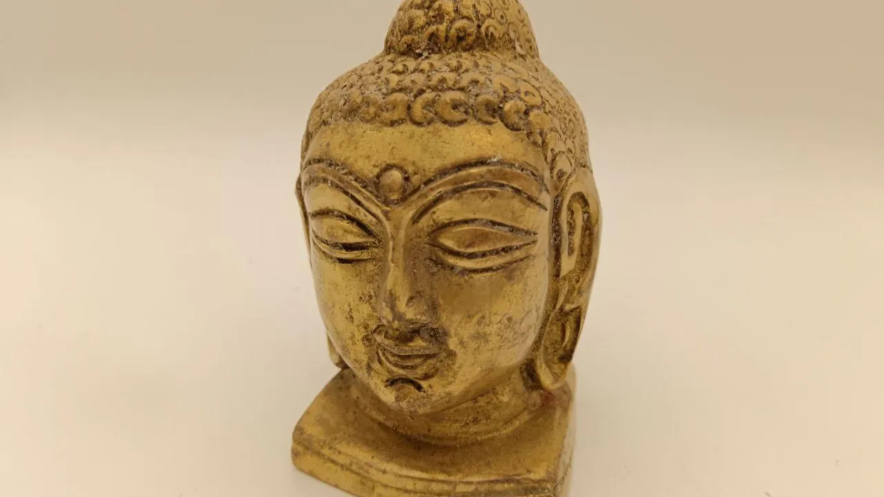 Фото: Министерство по содержанию территорий и государственному жилищному надзору МО