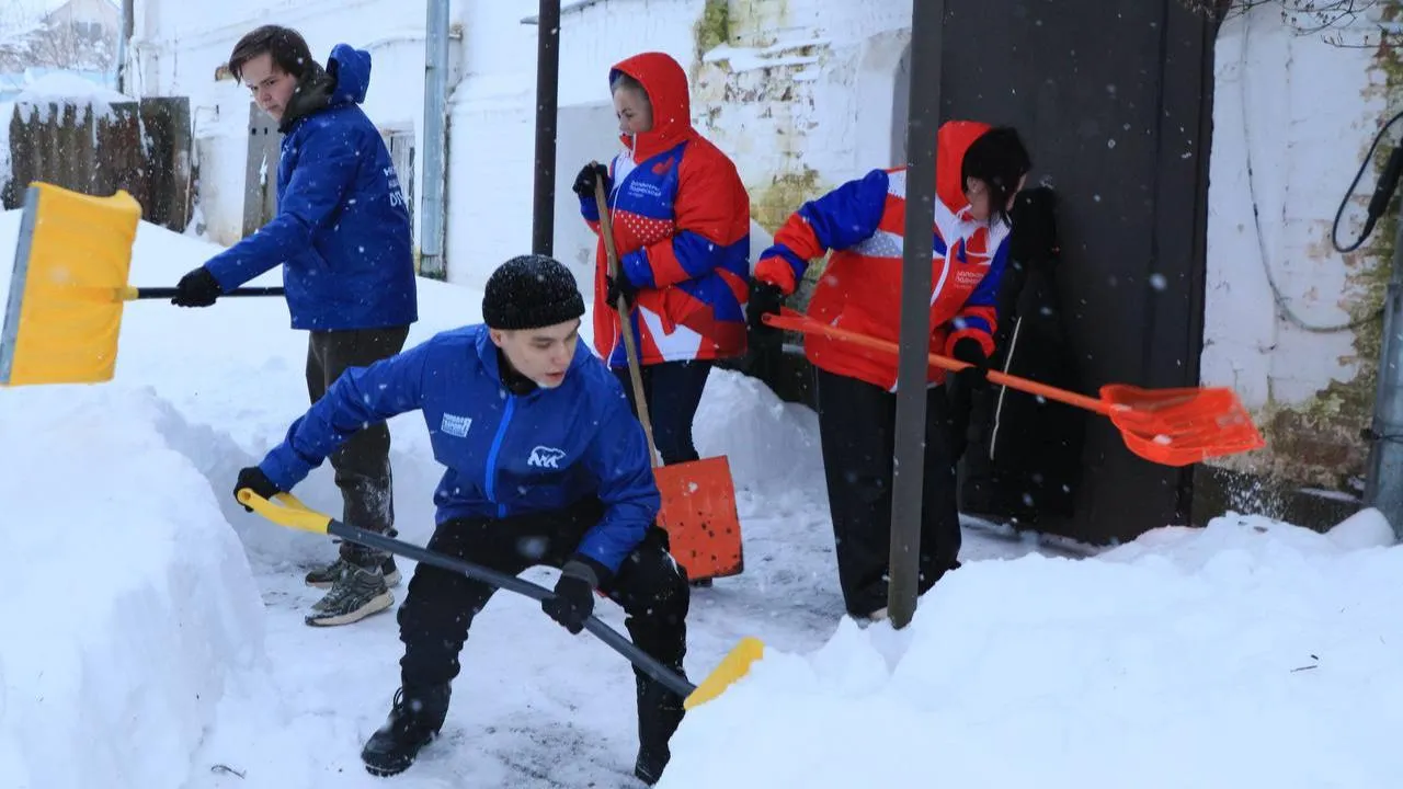 Волоколамское отделение "Волонтеров Подмосковья"
