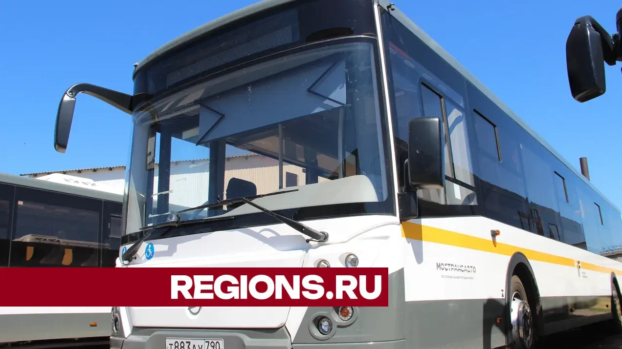 Фото: Василий Тремасов