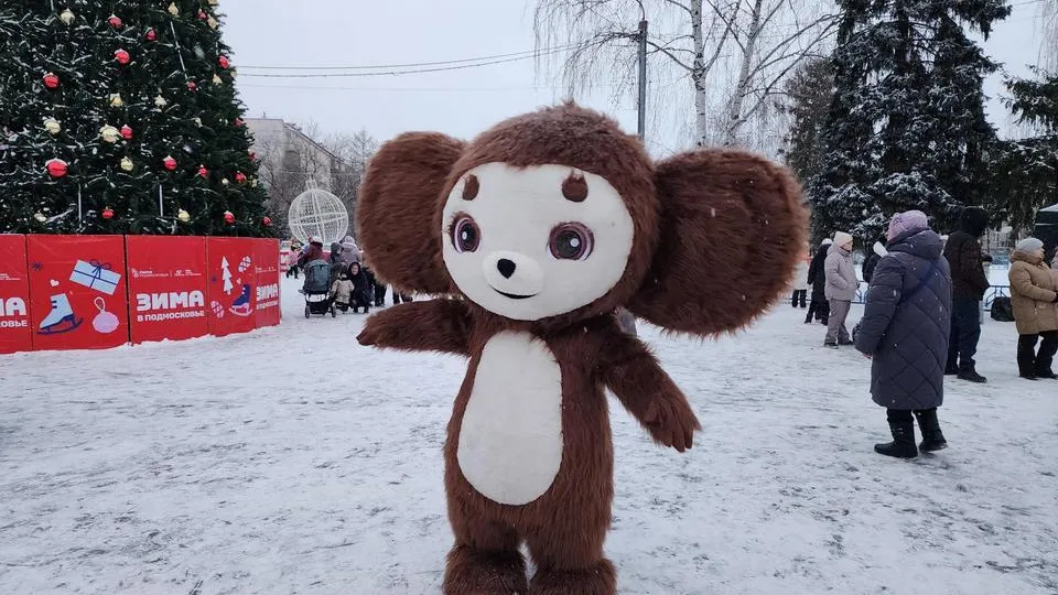 Фото: МедиаБанк Подмосковья/Анна Шолохова